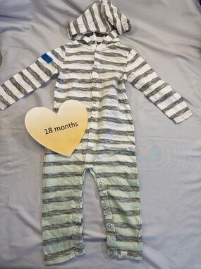 Burt's Bees Baby - Striped Hooded Footie in Grey and Green